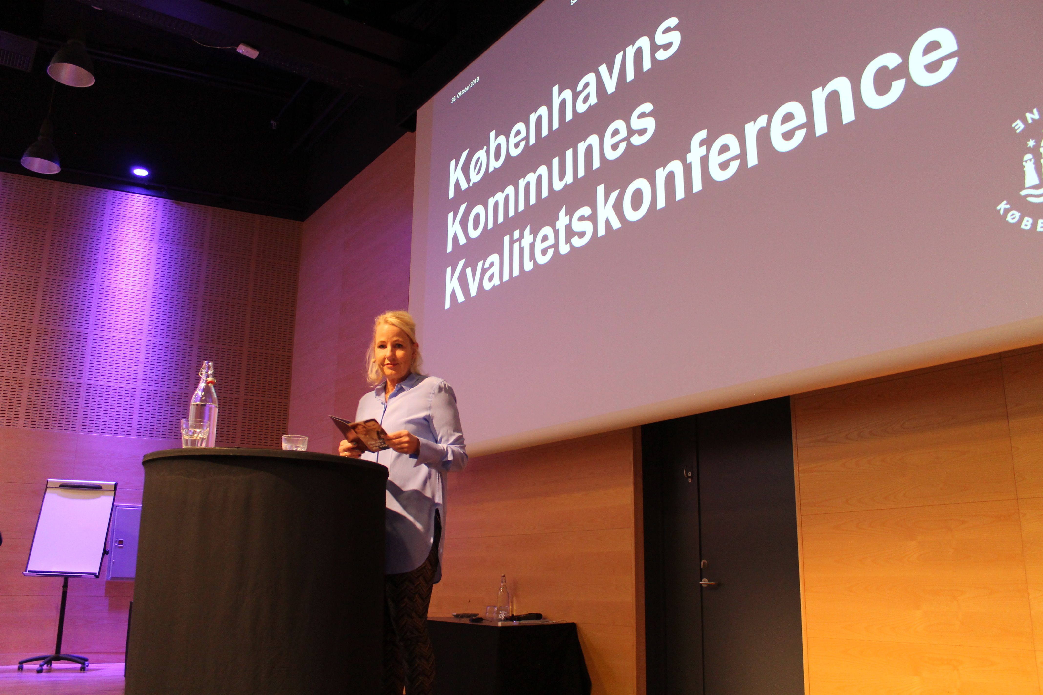 Kig efter kriser og problemer